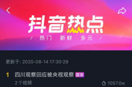 抖音涨粉丝上热搜要多久？揭秘快速增长的秘诀