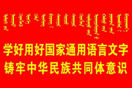 小红书如何公开浏览？全面攻略助你轻松查看想要内容