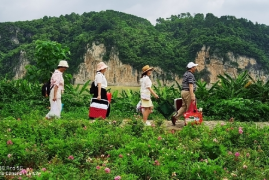 懂车帝帖子如何发视频，轻松打造吸引力十足的汽车内容