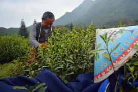 刷抖音怎么变成双屏播放？让你在享受短视频的同时，轻松完成多任务操作！