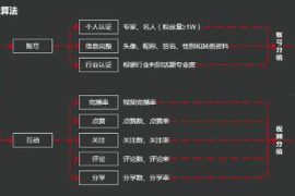 抖音完播率全解析：数据背后的流量密码