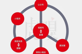 抖音完播率暴增的底层逻辑与实战技巧
