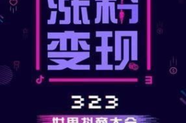 三天见效！零基础也能学会的抖音涨粉500实战指南