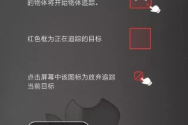 代刷视频播放怎么刷的？揭秘背后的神秘操作！