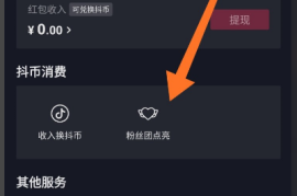 如何在抖音半年涨一千粉丝？精准策略帮你轻松达成目标