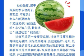 快手如何送字，表达心意的新方式