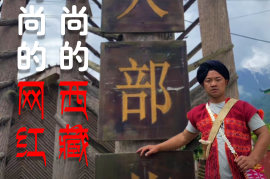 有效粉丝涨粉数多久更新？揭秘社交平台背后的秘密