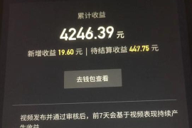 100元在抖音能掀起多大浪花？这份实操手册给你答案