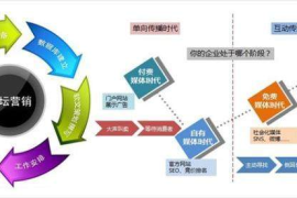 自然流量暴涨的3大核心策略｜从算法逻辑到用户黏性深度拆解
