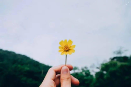 微博怎么删人？一步步教你清理社交圈