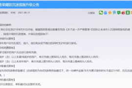 涨粉丝审核要多久？了解背后的细节与解决方法