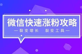 新人多久能涨粉丝？揭秘快速涨粉的秘笈！