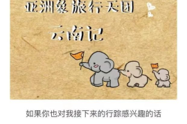 新粉丝涨一百万要多久？揭秘社交媒体增粉的秘密！
