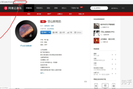 网易云怎么刷播放量？揭秘音乐平台背后的“秘密”操作
