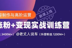抖音涨粉实战手册：从0到百万的底层逻辑拆解