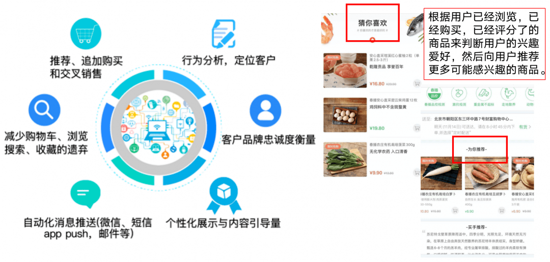 小红书如何推广课件——实现精准引流与品牌提升的完美方案