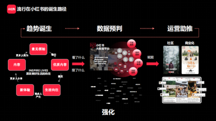 如何进驻小红书：品牌破圈的新机遇