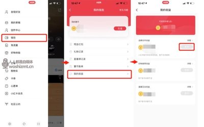 小红书店铺如何提现:轻松获取收益的全攻略