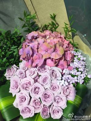 微博如何买花?轻松搞定你的浪漫需求!