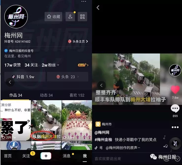 抖音怎么刷赞?教你快速提升视频人气的秘密!