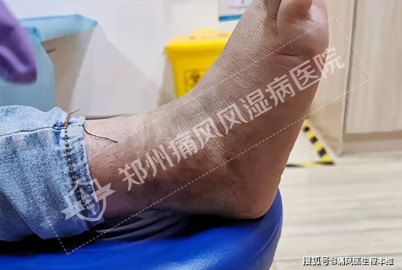 如何轻松查看今日头条分类?快速上手的详细指南