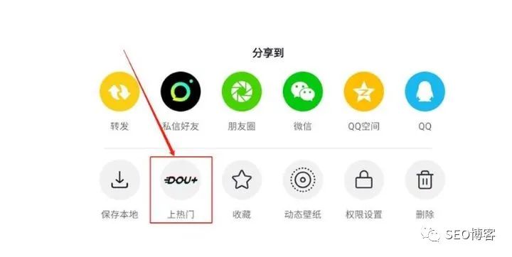 抖音转发怎么看?全面解锁新手小白必知技巧