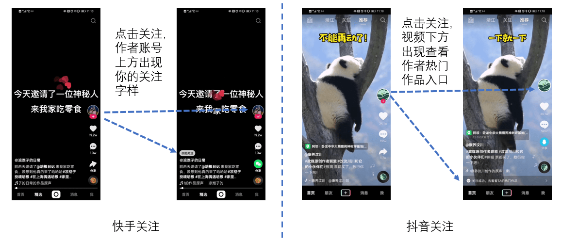 快手关注不了对方怎么回事？深度解析问题背后的真相