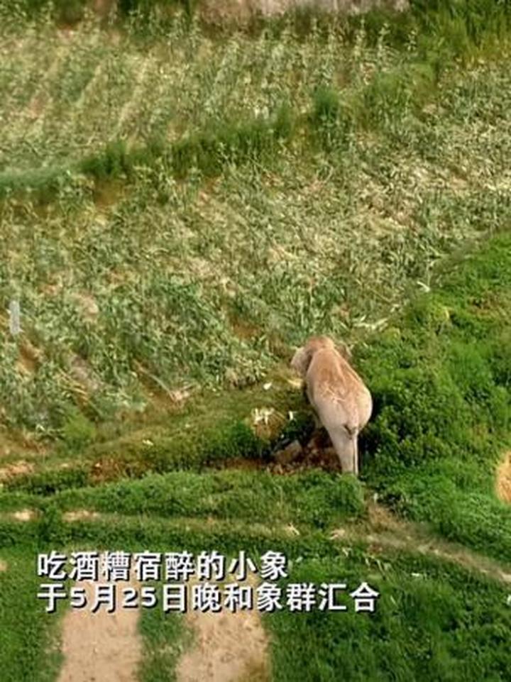 微博如何看点赞的人：揭秘点赞背后的奥秘