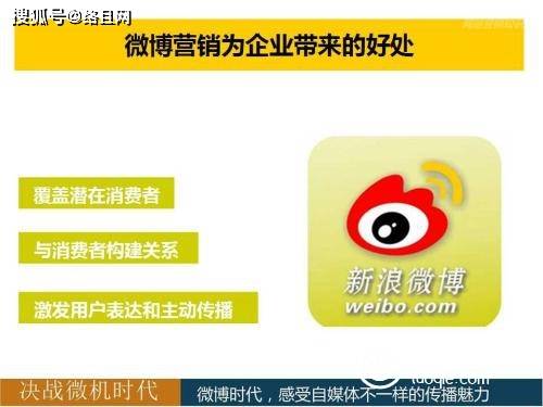 如何查看微博在线次数,了解好友动态的关键秘诀