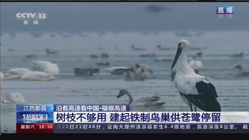 如何开通微博直播,快速吸引上万粉丝的秘诀