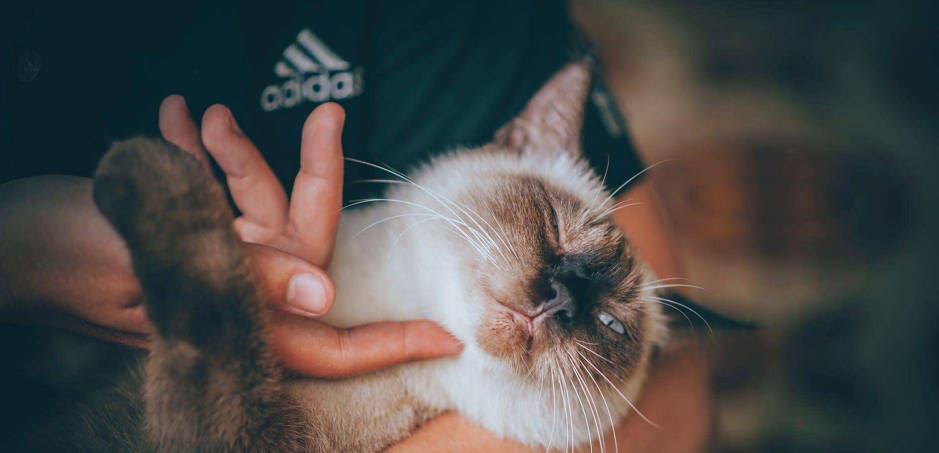 微博怎么换行发微博？一招搞定，轻松提升微博排版！