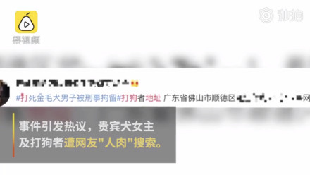 如何通过微博人肉找人?揭秘互联网下的“人肉搜索”