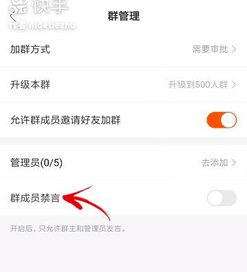 如何设置自己的快手号,展现独特个性!