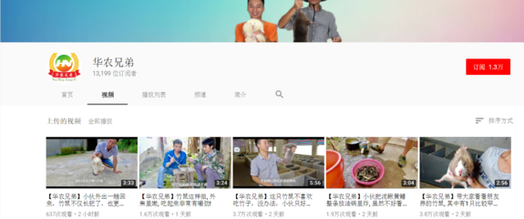 微博怎么让人关注?教你轻松涨粉的实用技巧!