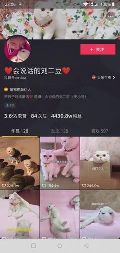 作品发多久才会涨粉丝？揭秘快速吸粉的关键