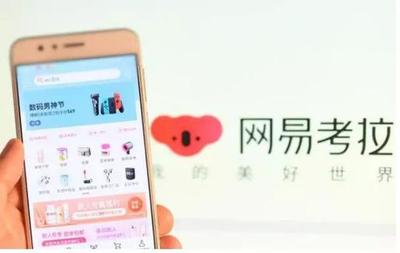 粉丝涨1万多个粉丝要多久？揭秘增长秘籍！