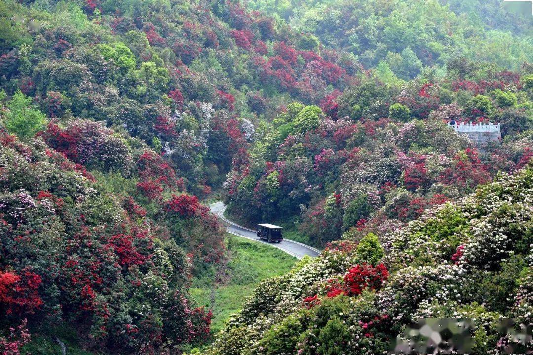 抖音圣地在哪里?揭秘短视频平台的热门拍摄地!