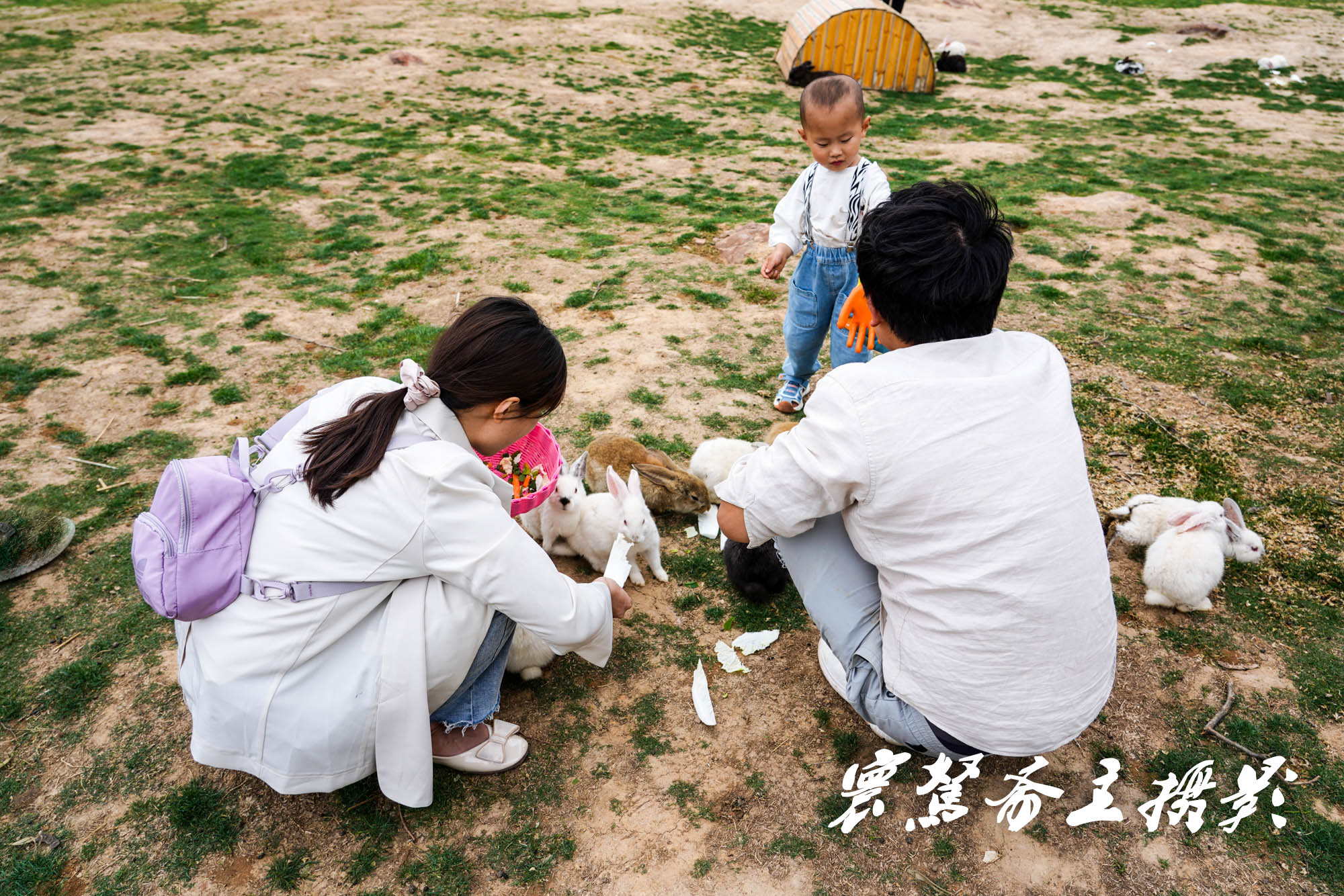 网易云刷播放器怎么弄？轻松提升音乐体验，畅享无限乐趣！