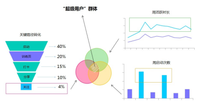 换领域后多久能涨粉丝?揭秘粉丝增长的关键因素!