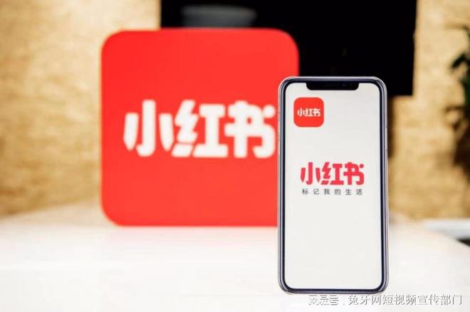 如何通过账号内容运营快速涨粉丝?
