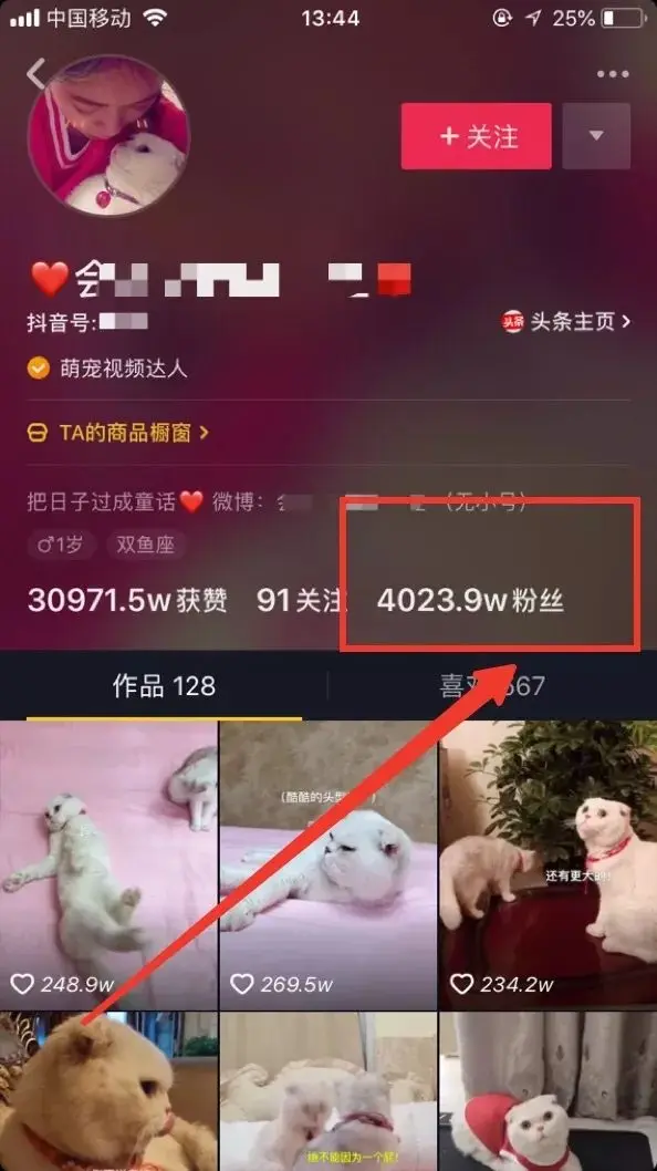 抖音等级在哪里？揭秘提升抖音等级的秘诀！