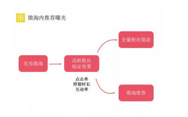 坚持更新多久能涨粉丝？教你轻松吸粉的秘诀