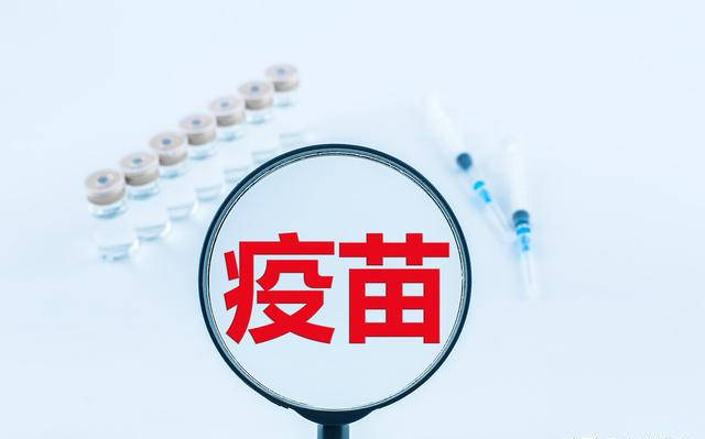 如何实现涨粉丝到1万？揭秘你的成功之路！