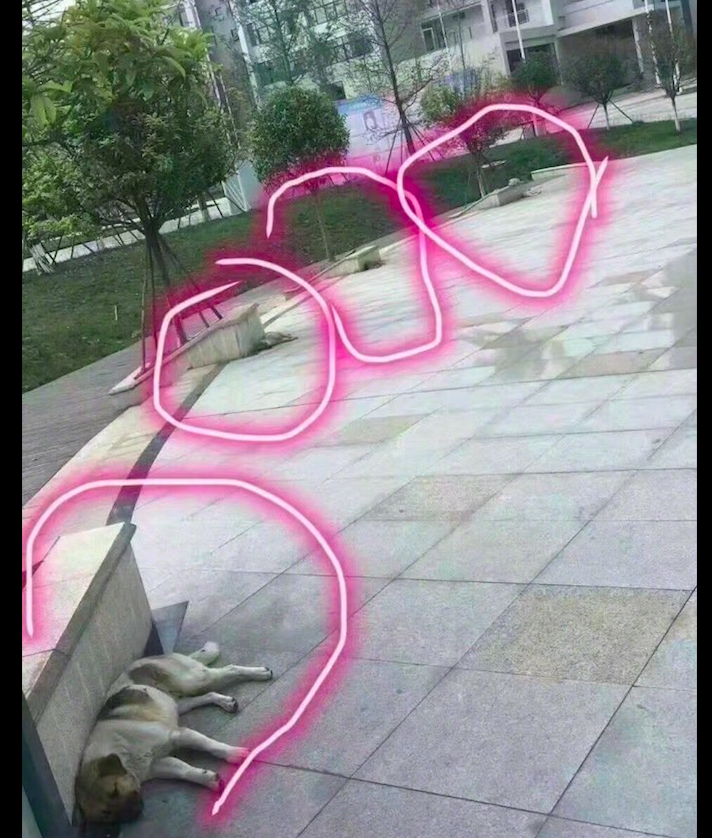 如何在抖音上进行私聊,打破社交隔阂,拉近你我距离