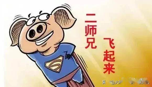 两周涨30个粉丝要多久?你也能做到!