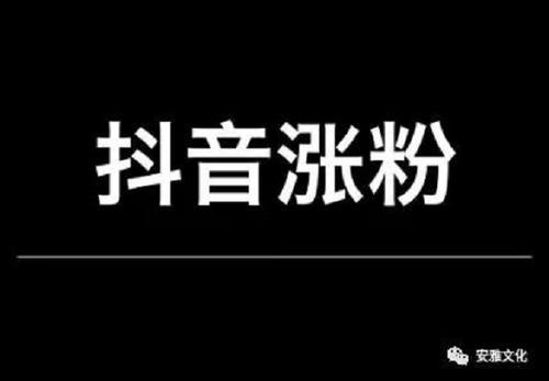 如何在抖音上快速涨粉丝?探秘成功之道
