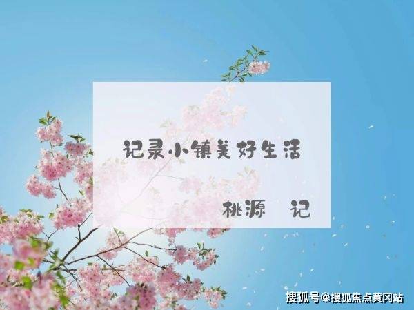 懂车帝如何制作短视频，助你轻松打造爆款内容