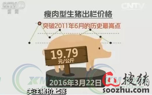 六万粉丝要涨多久？揭秘粉丝增长的秘密
