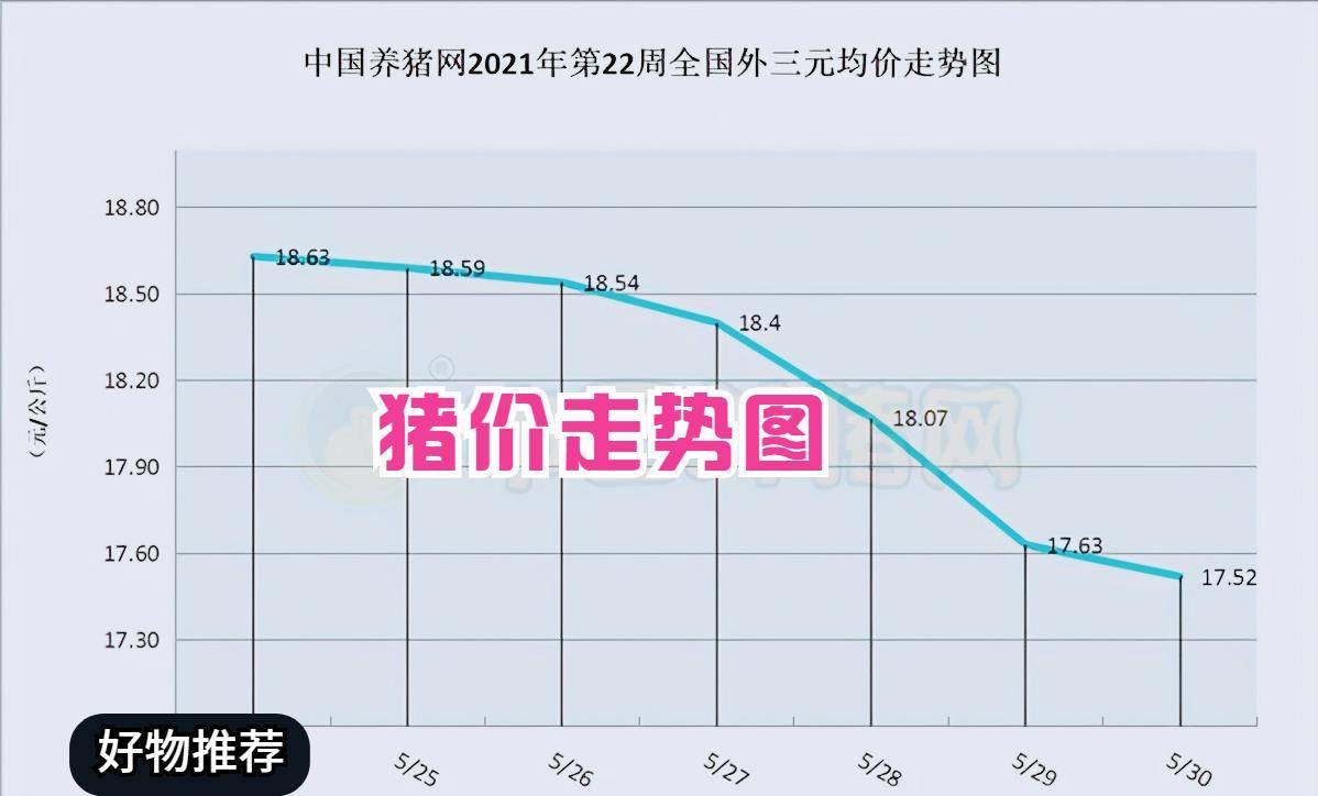 猪涨一千个粉丝要涨多久？揭秘快速积累粉丝的秘诀！