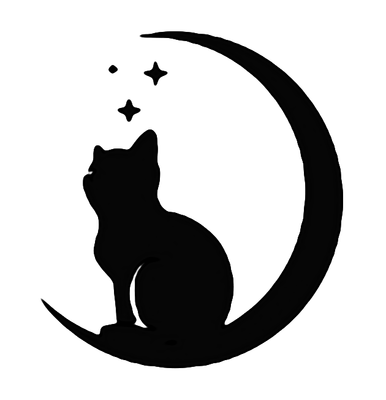 飞猫伴侣:如何在短短时间内增长2000粉丝?
